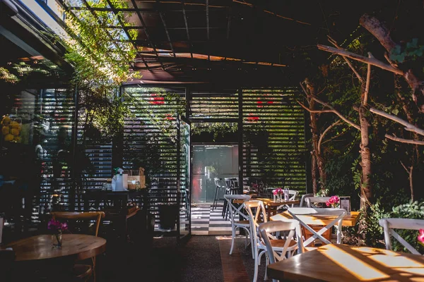 Beautiful Eco Restaurant Tables Green Plants Nature Sunlight — Stock Photo, Image