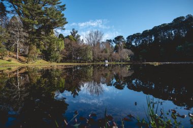 Mavi gökyüzü ve orman ufkunun yansımasıyla yeşil ormandaki güzel göl manzarası, Valdivia, Şili