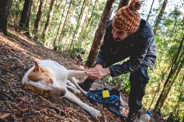 Feliz Jovem Barbudo Bonito Cara Com Gorro Grossa Acariciando Belo — Fotografia de Stock