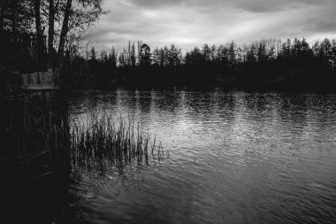 Yansımaları ve orman silueti ile güzel göl inanılmaz bulutlu gökyüzü, Jungla Valdiviana, Valdivia, Şili (siyah ve beyaz))