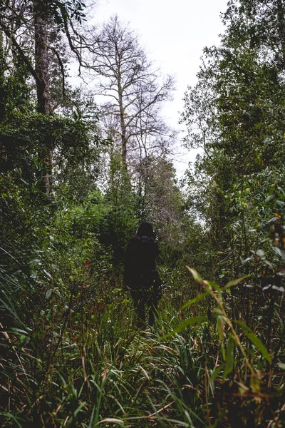 智利巴尔迪维亚 一个长头发 身披黑色长夹克的女孩 身披自然 绿色植物 花朵等 的外衣 生活在森林中 — 图库照片