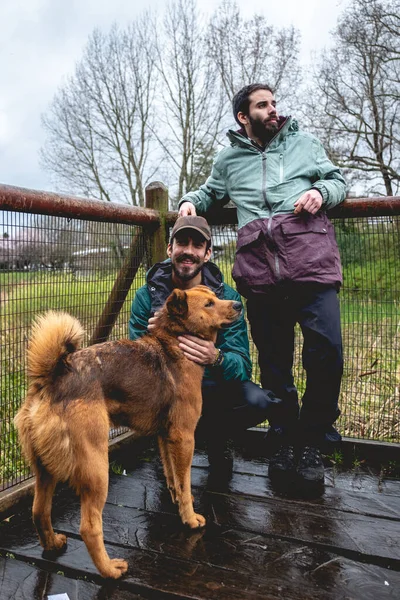 Two happy, young, caucasian and handsome brothers with jacket and backpacks petting two beautiful brown dogs in a wooden bridge in the forest in a rainy day, Valdivia, Chile