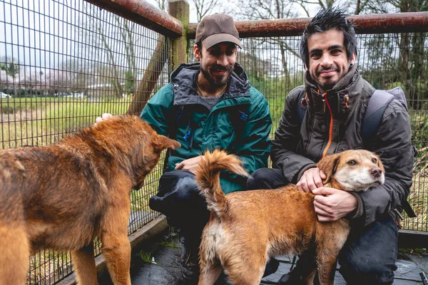 Two happy, young, caucasian and handsome brothers with jacket and backpacks petting two beautiful brown dogs in a wooden bridge in the forest in a rainy day, Valdivia, Chile