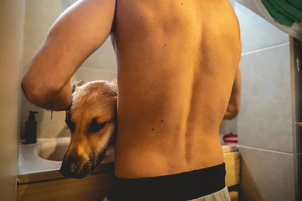 Young and skinny guy giving a tub bath and shower to a beautiful young german shepherd dog in the bathroom