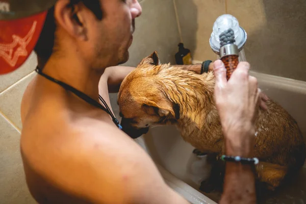 Ung Och Smal Kille Ger Badkar Och Dusch Till Vacker — Stockfoto