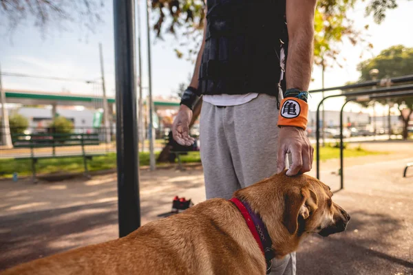 Passande Och Stilig Atletisk Kille Med Viktväst Och Armband Calisthenics — Stockfoto