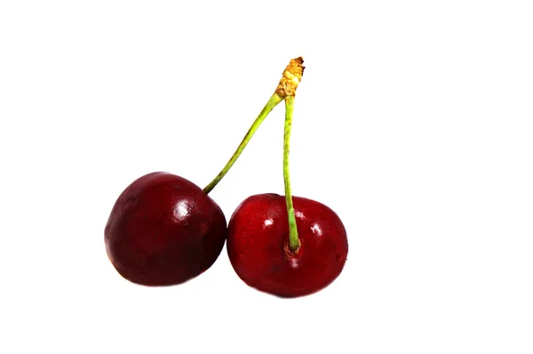 Two ripe cherries on a branch — Stock Photo, Image