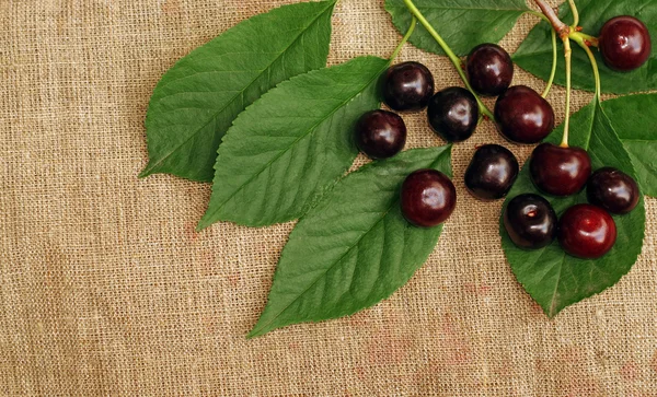 Ripe cherry on the rough fabric as the background — Stock Photo, Image