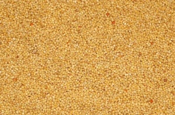 Millet as background — Stock Photo, Image