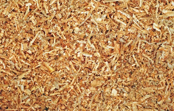 Sawdust as background — Stock Photo, Image