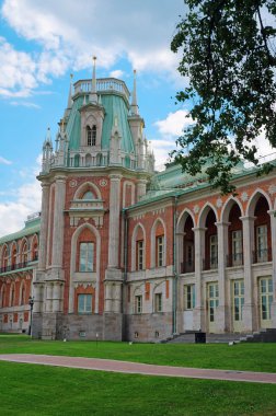 Kraliyet Sarayı tsaritsyno Moskova'nın kulesi
