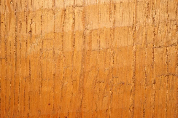 Wood texture closeup — Stock Photo, Image