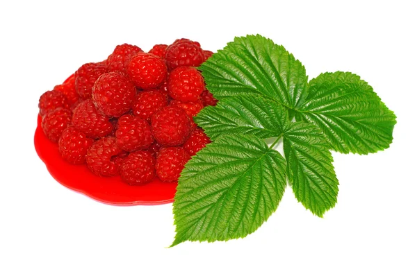 Ripe raspberries decorated with green leaf in a small platter — Stock Photo, Image