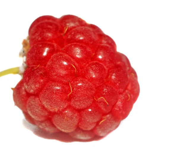 Raspberries very close up — Stock Photo, Image