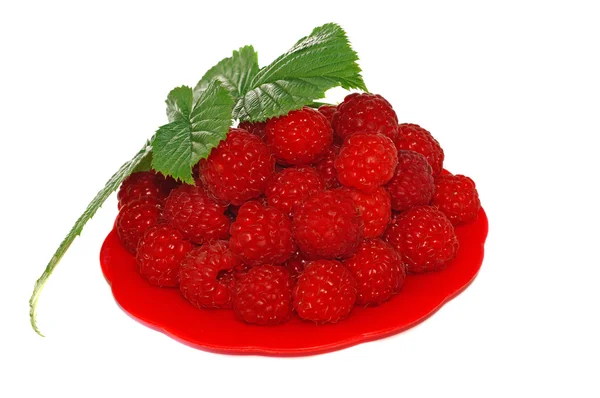 Ripe raspberries decorated with green leaf in a small platter — Stock Photo, Image