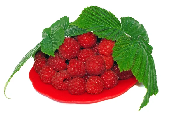 Ripe raspberries decorated with green leaf in a small platter — Stock Photo, Image