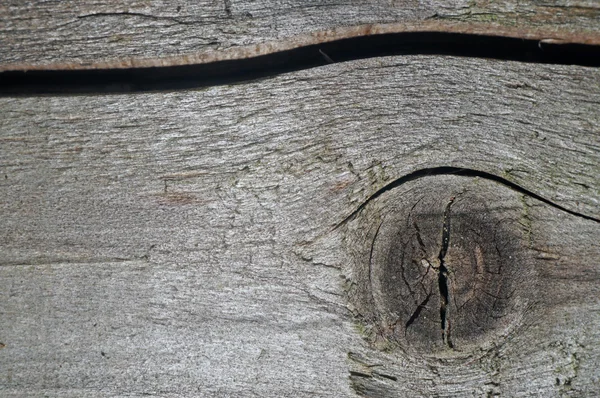Doku knot ve yarık ile eski gri kurullarının — Stok fotoğraf