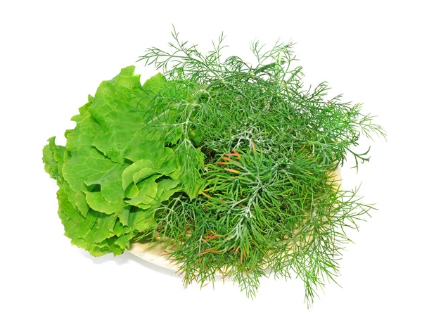 Plate with lettuce and dill isolated — Stock Photo, Image