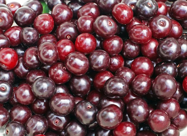 Ripe cherry close up as background — Stock Photo, Image