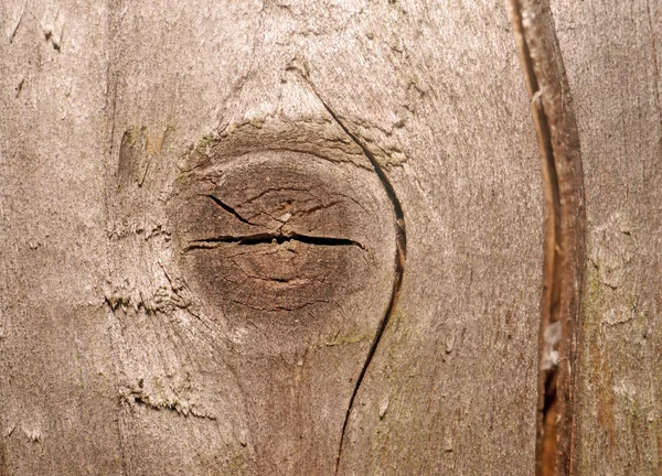 Textuur van de oude grijze planken met een diepe gleuf en knoop — Stockfoto