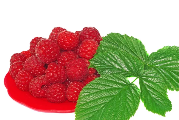 Ripe raspberries decorated with green leaf in a small platter — Stock Photo, Image