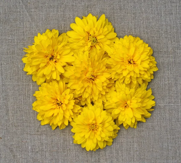 A composition in the form of a flower of yellow flowers — Stock Photo, Image