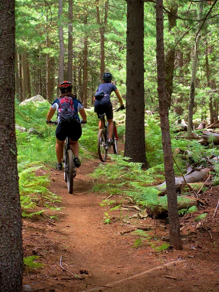 Mountainbiken — Stockfoto