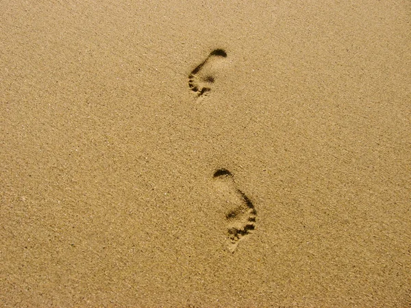 沙中的痕迹 图库图片