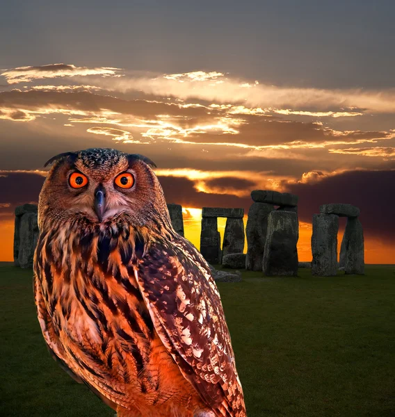 An owl and the mystery Stonehenge — Stock Photo, Image