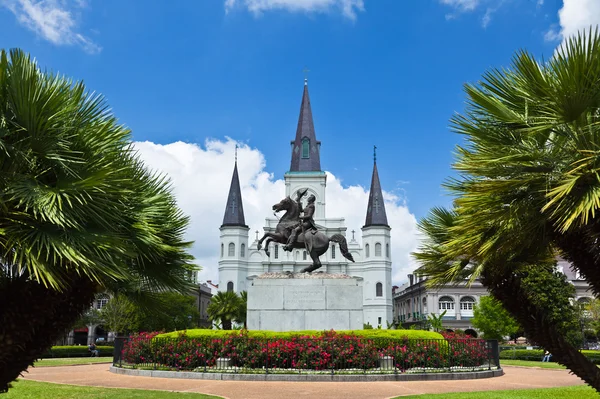 Kathedraal van Saint louis en jackson vierkante — Stockfoto