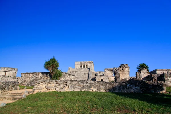 Tulum, l'un des sites les plus célèbres du monde maya — Photo