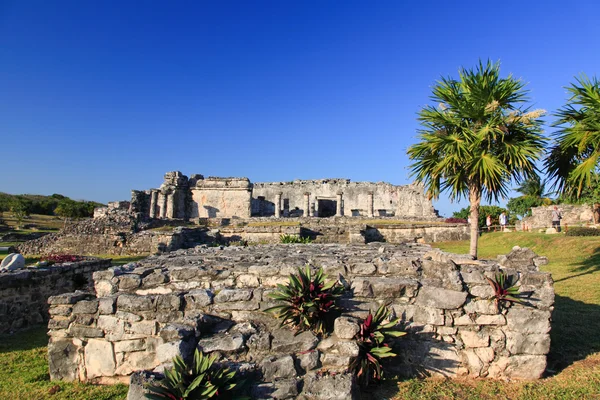 Tulum maya dünyanın en ünlü dönüm noktası bir — Stok fotoğraf