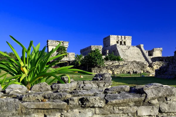 Ruines de Tulum dans le monde maya près de Cancun — Photo