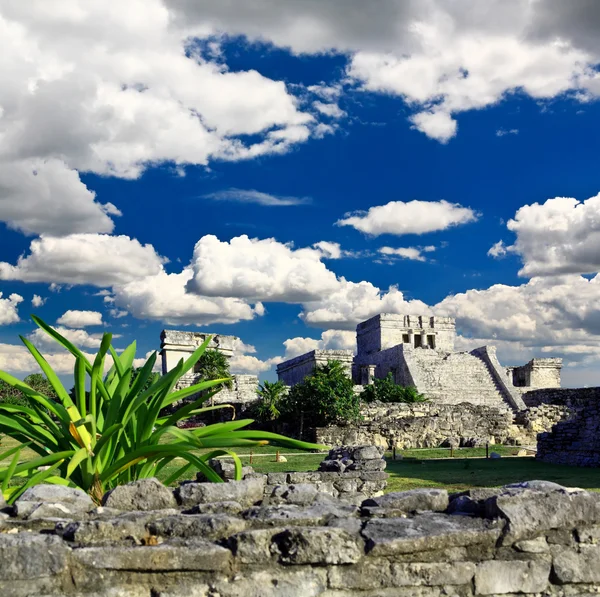 Ruínas de Tulum no mundo Maya perto de Cancún — Fotografia de Stock