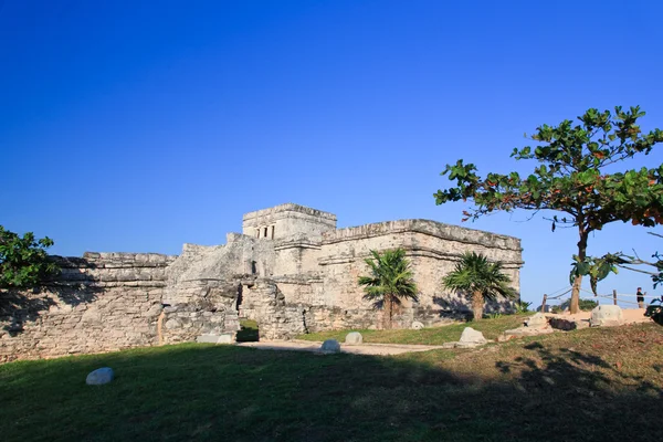 Tulum the one of most famous landmark in the Maya World — Stock Photo, Image