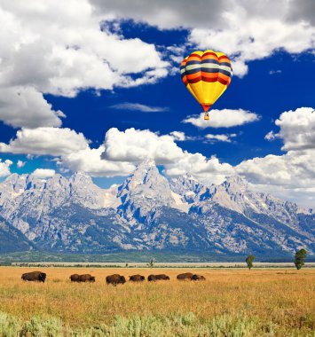 bizonlar antilop flats grand teton Milli Parkı