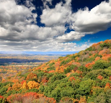 yeşillik manzarası