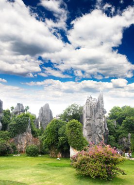 kunming şehri yakınlarında kaya orman