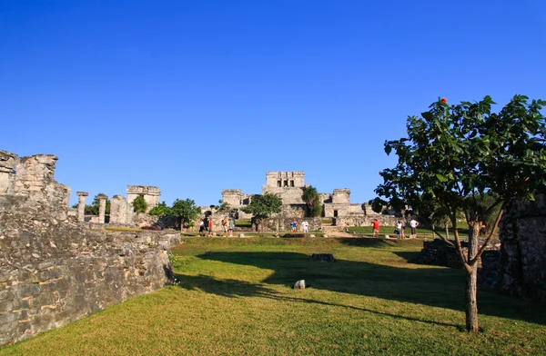 Tulum é um dos marcos mais famosos do mundo Maya — Fotografia de Stock