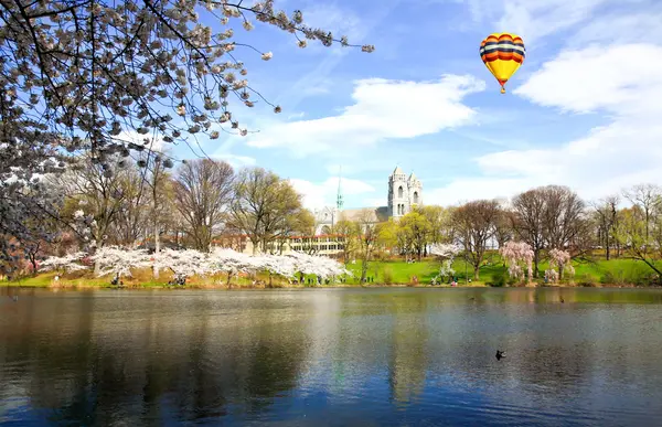 The Cherry Blossom Festival in New Jersey — Stock Photo, Image