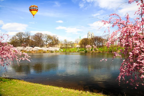 뉴저지에서 벚꽃 축제 — 스톡 사진