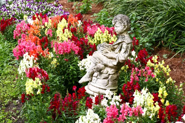 Fleurs dans un jardin botanique — Photo