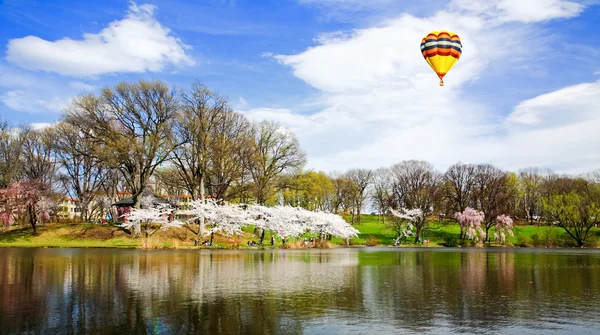 The Cherry Blossom Festival in New Jersey — Stock Photo, Image