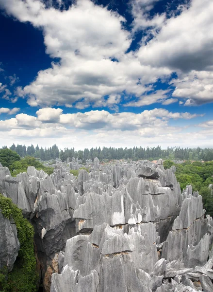 Bosque rocoso cerca de Kunming — Foto de Stock
