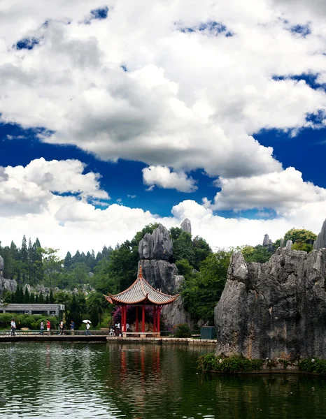 Floresta rochosa perto da cidade de Kunming — Fotografia de Stock