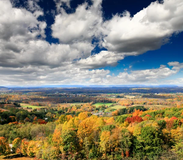 紅葉風景 — ストック写真