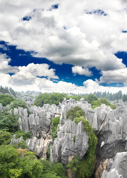 Bosque rocoso cerca de Kunming — Foto de Stock
