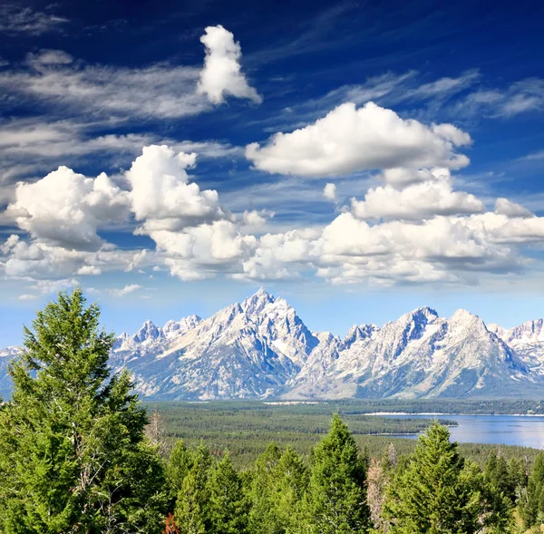 Der Grand Teton Nationalpark — Stockfoto