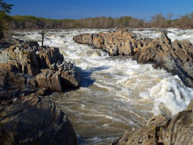 Potomac nehri - büyük şelale Milli Parkı