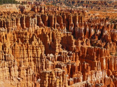 bryce canyon Milli Parkı